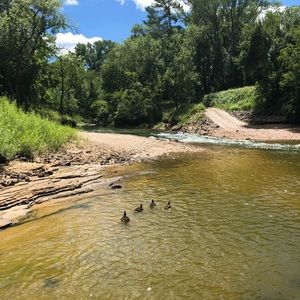 Meet your Posher, Tatum